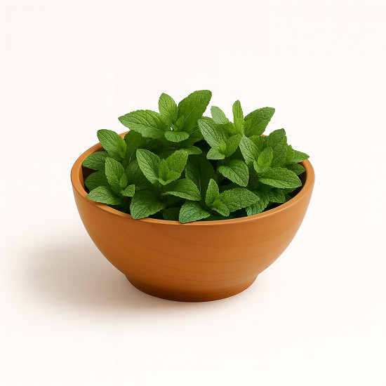 Nane Sıvı Gıda Aroması ASD Kimya